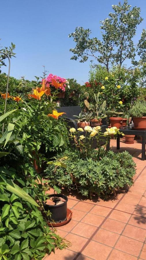Il Giardino Sui Tetti Appartement Bologna Buitenkant foto